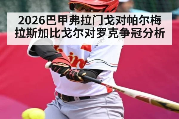 2026巴甲弗拉门戈对帕尔梅拉斯加比戈尔对罗克争冠分析